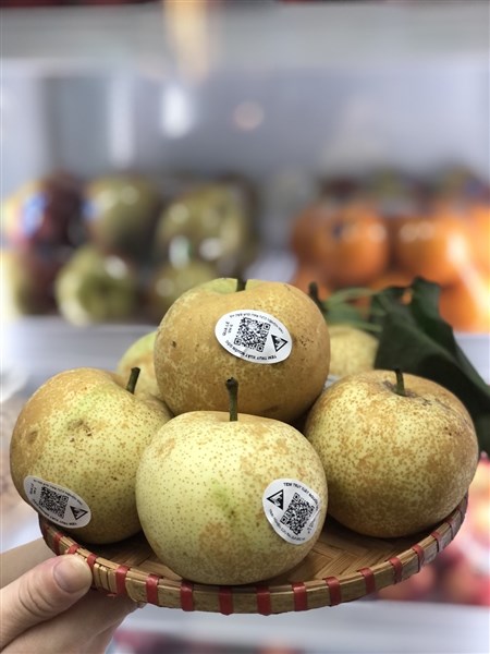 Quả lê trị bệnh