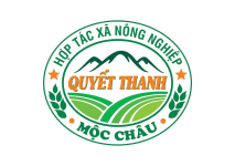 HTX Nông nghiệp Quyết Thanh Mộc Châu